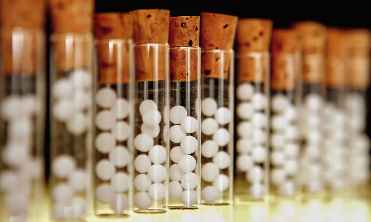 homeopathic pharma franchise