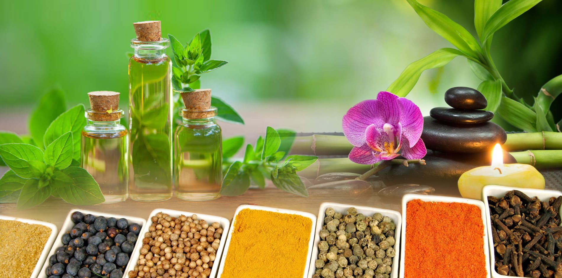 List Of Ayurvedic Medicine manufacturer in Uttarakhand