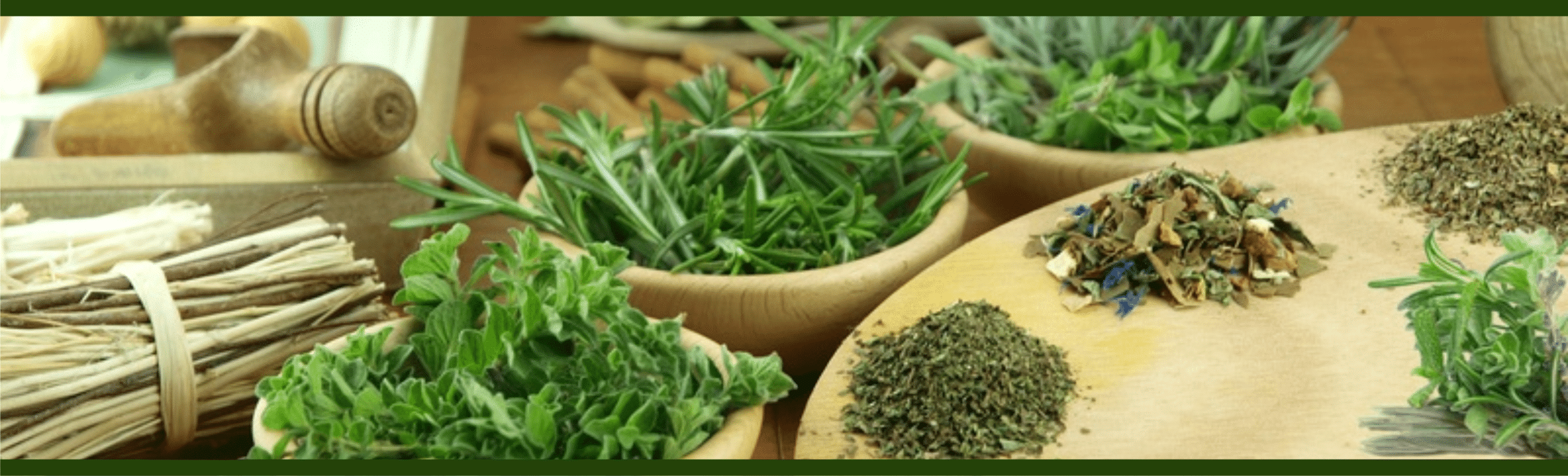 List of Ayurvedic Companies in Kerala