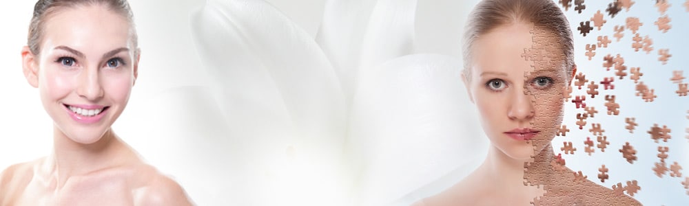 Derma Product List