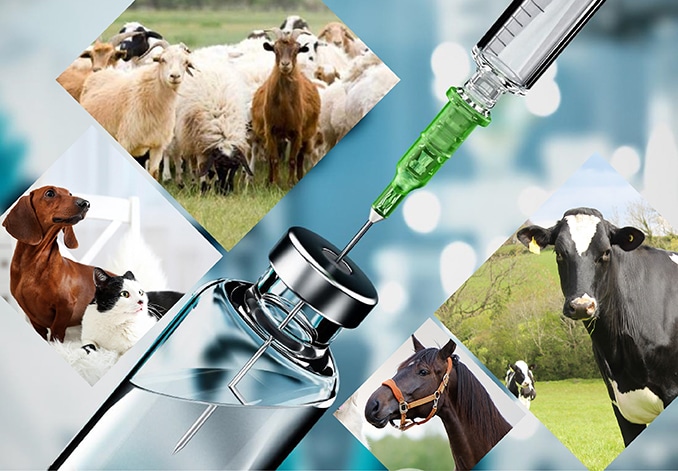 List of Veterinary Injection Manufacturers in India