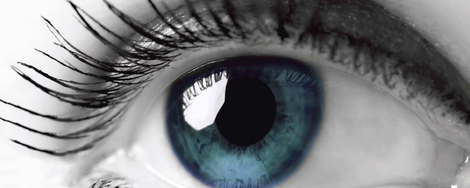 Ophthalmic product list