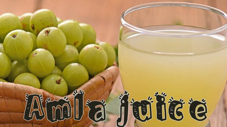 Amla Juice Manufacturer in India
