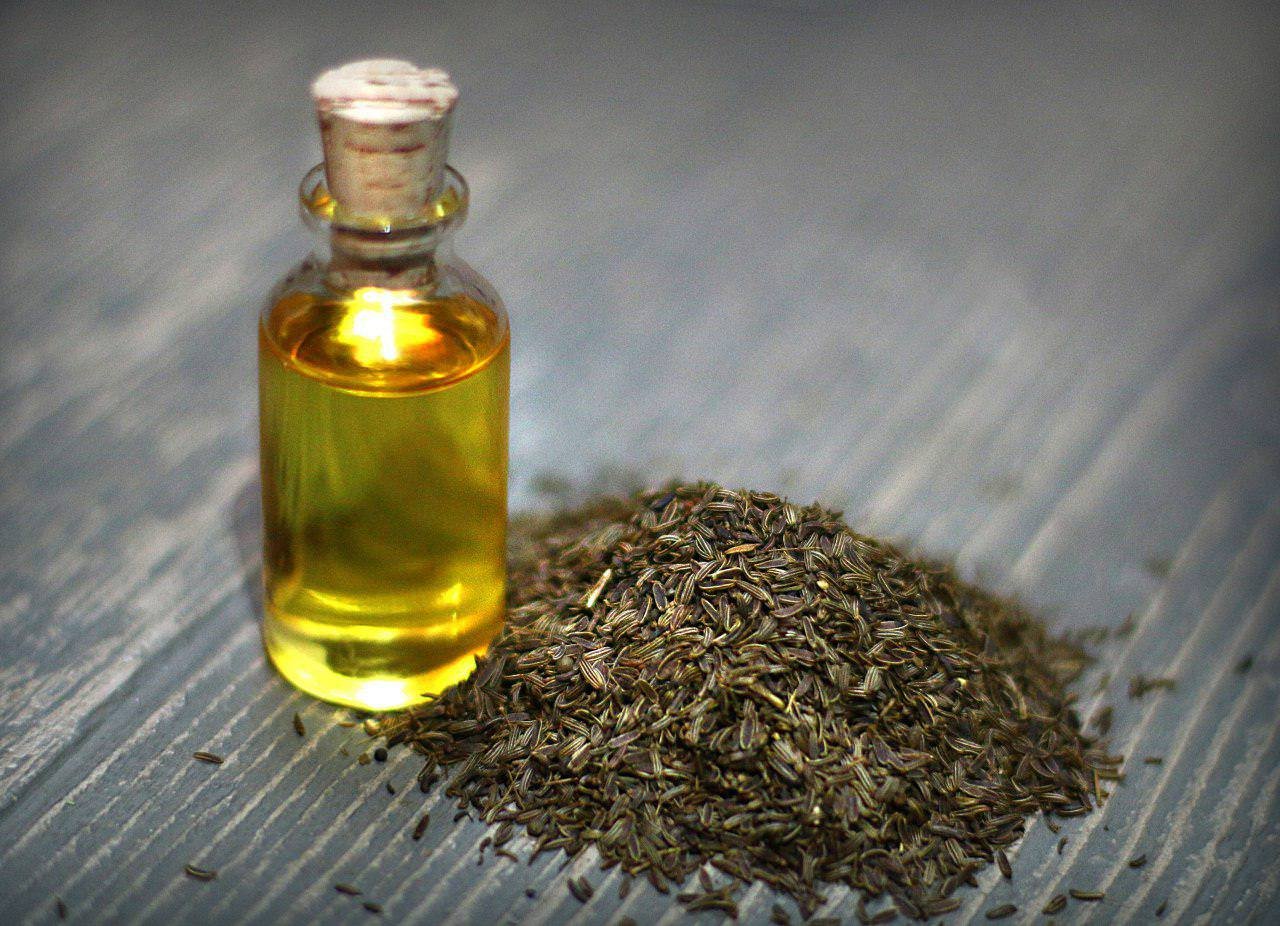 Caraway Oil Manufacturer in India