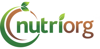 “Triphala Juice Manufacturer in India” is locked Triphala Juice Manufacturer in India