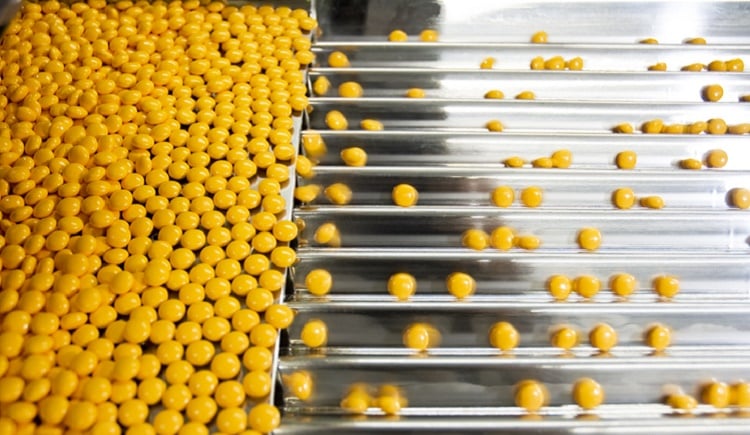 Pharma Companies in Halol