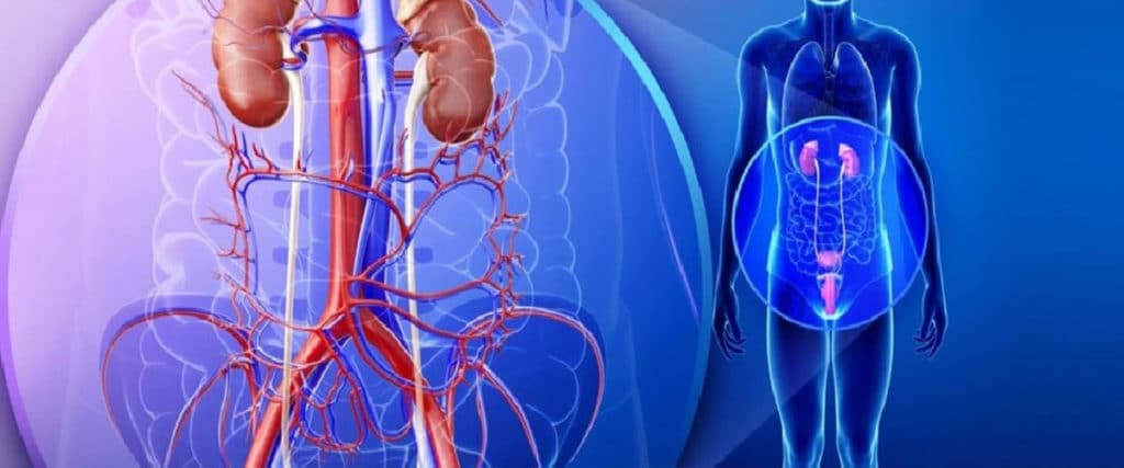 Urology Product List For Franchise & Manufacturing