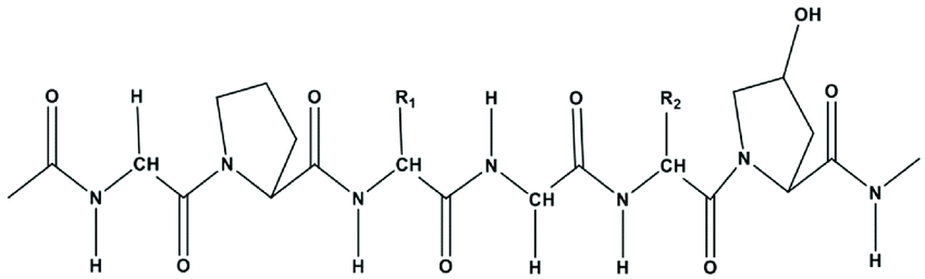 Top 10 Bioactive Collagen Peptides Sachet Manufacturers in India