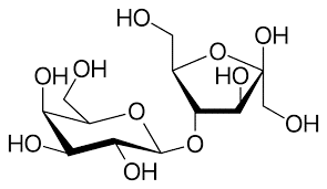 Top 10 Lactulose Sachet Manufacturers in India