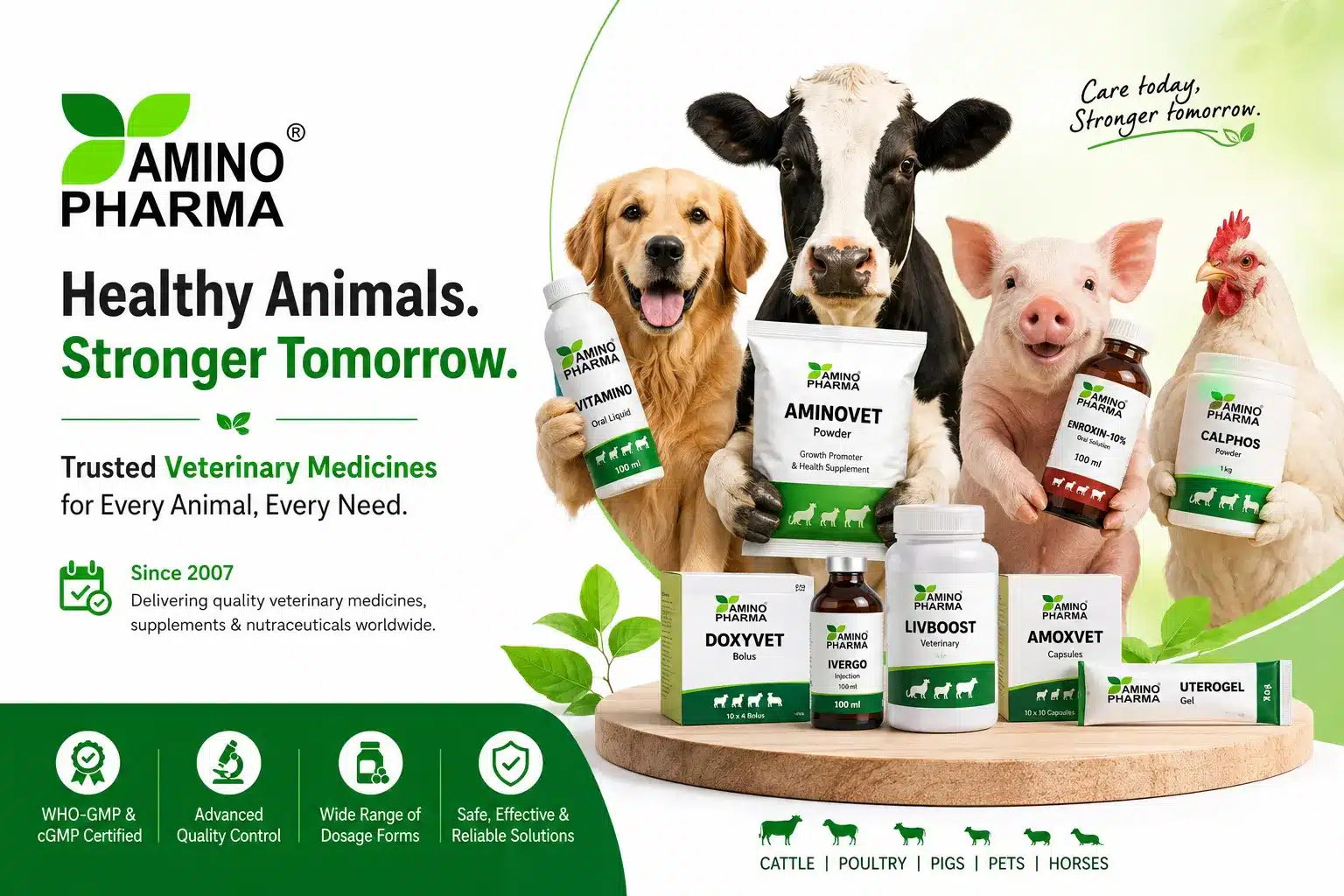 Amino Pharma- Veterinary Medicine Manufacturer
