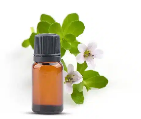 Brahmi oil
