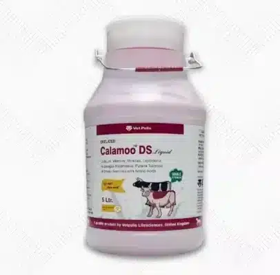 Veterinary medicine manufacturing